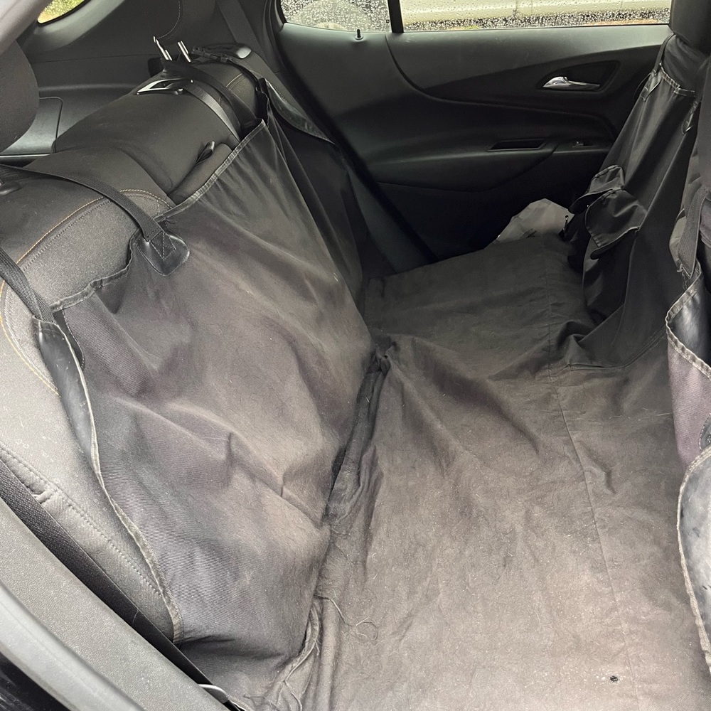 Car dog hammock